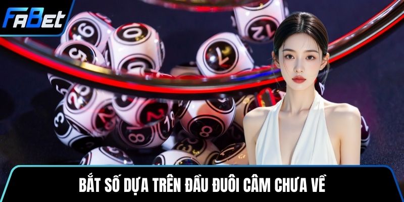Bắt số dựa trên đầu đuôi câm chưa về
