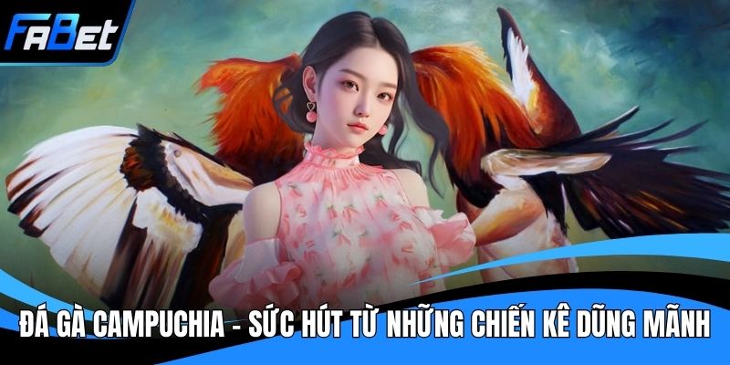 Đá Gà Campuchia - Sức Hút Từ Những Chiến Kê Dũng Mãnh
