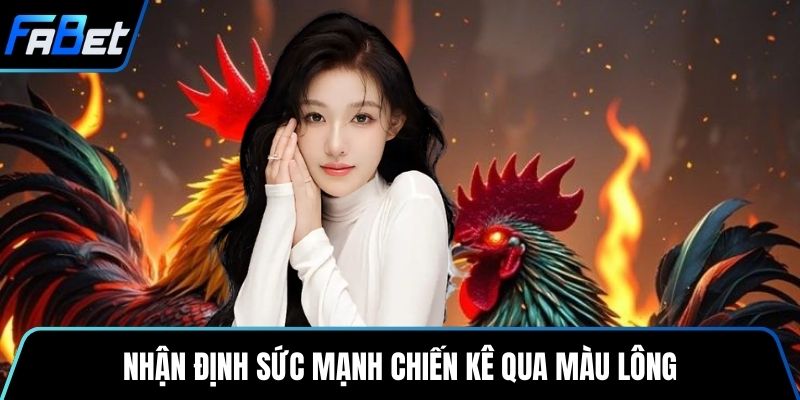 Nhận định sức mạnh chiến kê qua màu lông