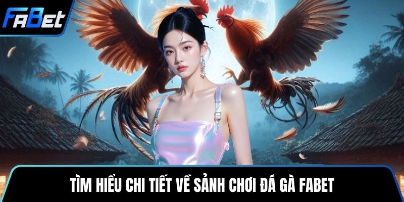 Tìm hiểu chi tiết về sảnh chơi đá gà Fabet