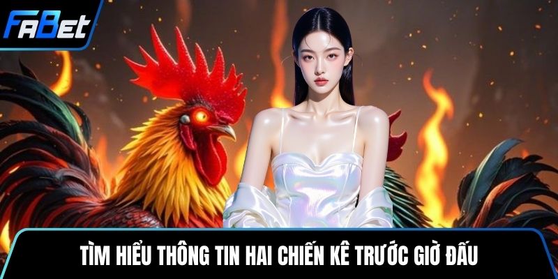 Tìm hiểu thông tin hai chiến kê trước giờ đấu